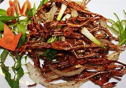 Chàng hiu