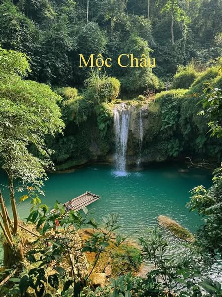 488803516 1118449393636993 8437511008808538004 n