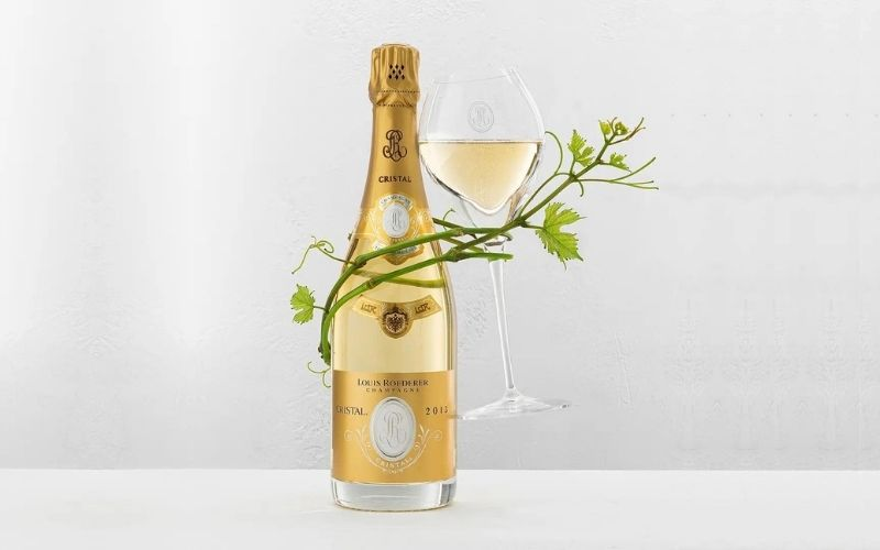 Champagne là gì? Tất tần tật về loại rượu vang sủi nổi tiếng thế giới