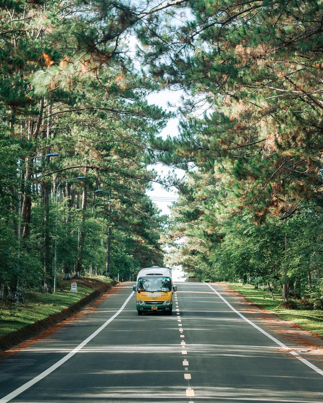 Tour măng Đen